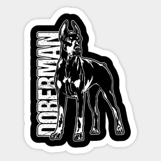 Proud Doberman dog portrait dog portrait Sticker